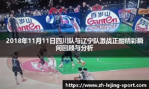 2018年11月11日四川队与辽宁队激战正酣精彩瞬间回顾与分析